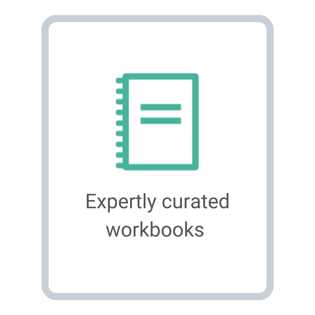 Expertly curated workbooks 4